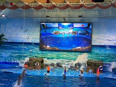 -多彩贵州城极地海洋世界