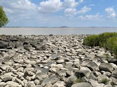 -上海吴淞炮台湾国家湿地公园