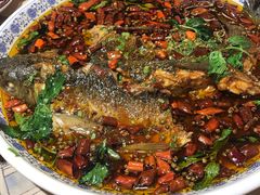 杨记招牌鱼-杨记隆府(时代天街店)