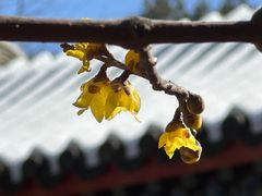 -月坛公园
