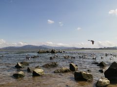 -深圳湾公园(南山区)