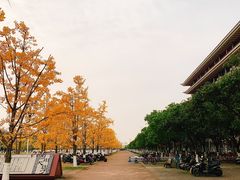 -四川大学(江安校区)
