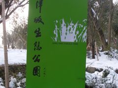 -西湖风景区-江洋畈生态公园