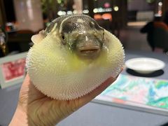 -肆月河豚·淮扬菜·湘菜(华天店)
