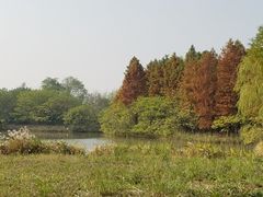 -梁鸿国家湿地公园