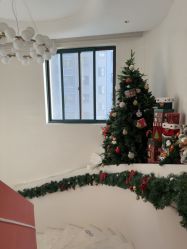 -WENDY·温迪皮肤管理