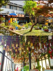 -保丽宝泰母婴护理院·月子中心·产康·中医(常州店)