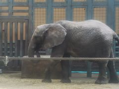 -太原动物园