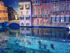 -华夏文旅海洋公园