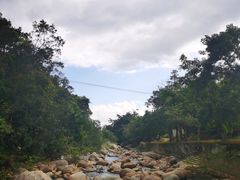 -海南热带雨林国家公园吊罗山景区