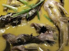 -吴满满油泼面(北方风味园店)