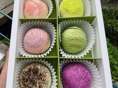 -好一朵茉莉花(老门东店)