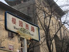 -武汉大学-樱园