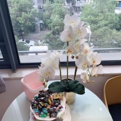 点击看大图 -MIVI野生眉纹绣纹眉