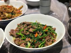 香菜炒牛肉-壹盏灯(惠农店)