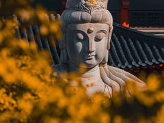 -鸡鸣寺