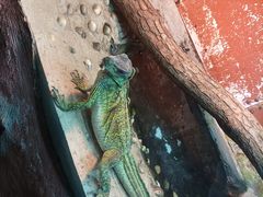 -上海大自然野生昆虫馆