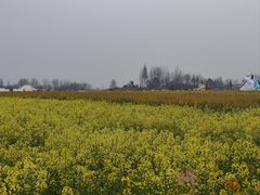 -中国天府农业博览园