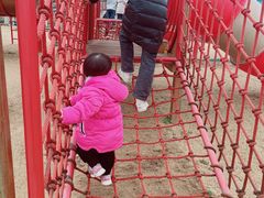 -合肥滨湖国家森林公园