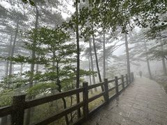 -黄山风景区