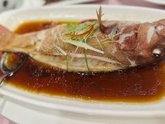 广式东星斑-顺风海鲜港(金玉兰店)
