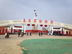 -石家庄市植物园