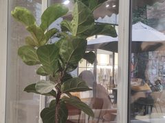 -VOYAGE COFFEE 咖啡烘焙工坊店(798艺术区店)
