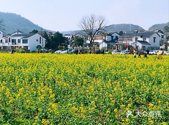 我们来到了南京市江宁区的佘村