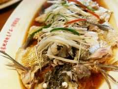 -丹江渔村(望京店)