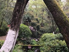 -岳麓山风景名胜区