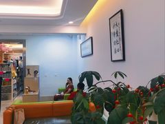 -北京观赏动物医院·24小时大型综合·猫专科·异宠专科