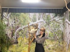 -费瑟代尔野生动物园