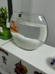 -水晶丽人美容养生