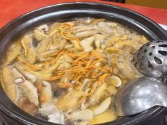 -菌之家·专业纯野生菌火锅·特色炒菌