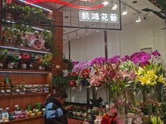 -悦乐坊