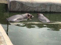 -哈尔滨北方森林动物园