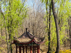 -云岗森林公园