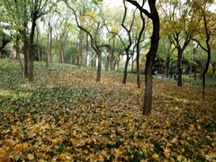 景点-陶然亭公园