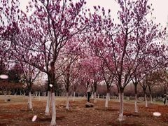 -白塘生态植物园