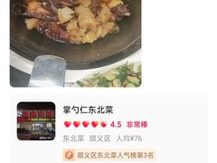 -掌勺仁东北菜(李桥店)
