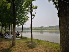 -东郊湿地公园