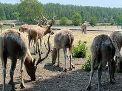 -溱湖国家湿地公园
