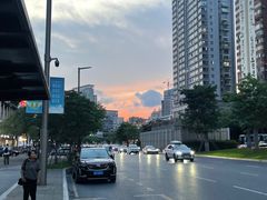 -润园四季椰子鸡火锅(南山海岸城店)