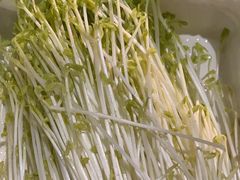 -番食园鲜食火锅(高新店)
