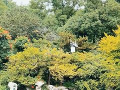 -趵突泉景区