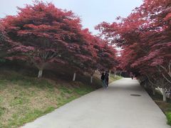 -石岛赤山风景区