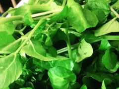 -攀枝花野菜铜火锅(万科凯德店)