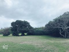 -鹅銮鼻公园
