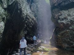 -牛背梁国家森林公园