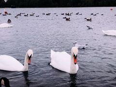 -海德公园